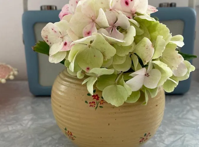 Sundbyvestervarehus Kopenhagen