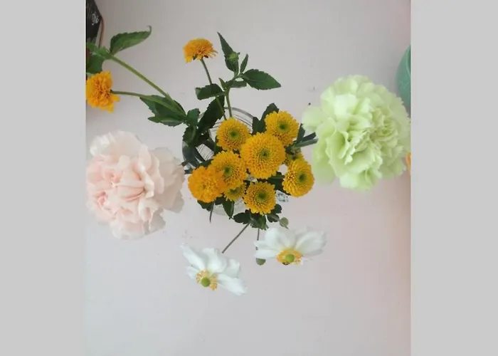 Apartamento Sundbyvestervarehus